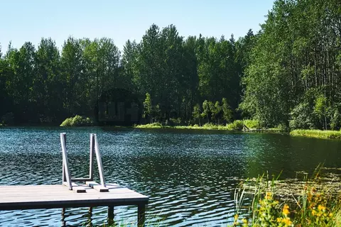 Участок в Ленинградская область, Всеволожский район, Куйвозовское ...