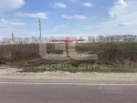 Участок в Брянская область, Брянский район, Добрунское с/пос, д. ...