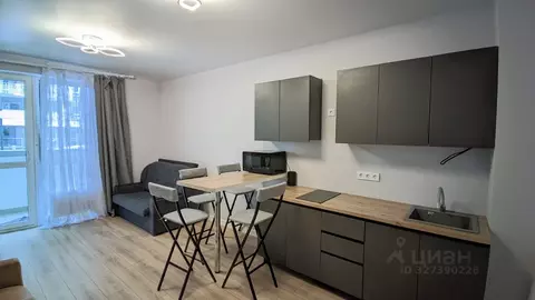 Студия Краснодарский край, Сочи ул. Искры, 66/9к7 (26.0 м)