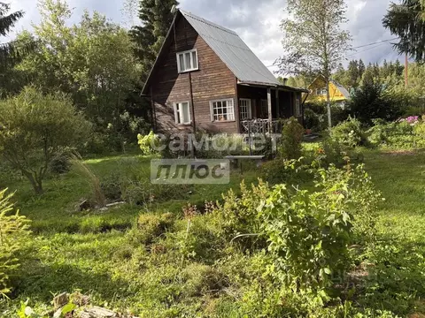 Дом в Ленинградская область, Гатчинский муниципальный округ, Чаща ...