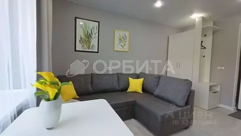 Студия Тюменская область, Тюменский муниципальный округ, пос. ...