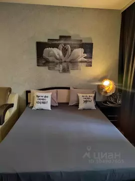 Студия Московская область, Ногинск Богородский городской округ, ул. ...