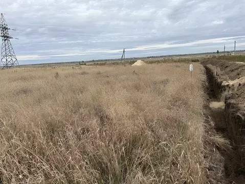Участок в Ростовская область, Азовский район, Новоалександровка хут. ...