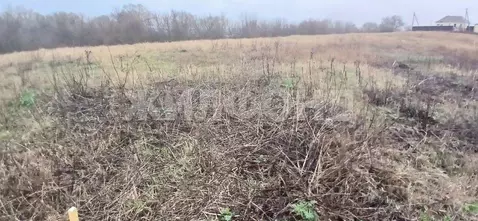 Участок в Воронежская область, Рамонский район, Новоживотинновское ...