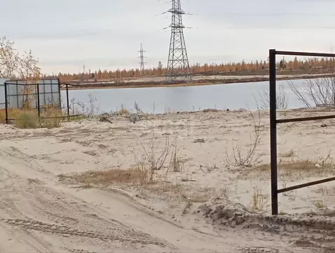 Участок в Ямало-Ненецкий АО, Новый Уренгой Дружба ТСН, проезд 6-й ...