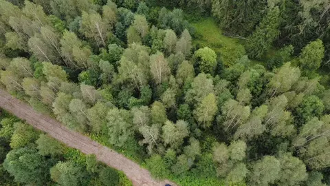 Участок в Московская область, Наро-Фоминский городской округ, д. ...