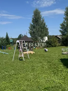 Участок в Костромская область, Красносельский район, Чапаевское с/пос, ...