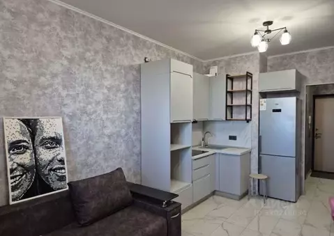 Студия Санкт-Петербург пос. Шушары, Школьная ул., 15 (25.0 м)