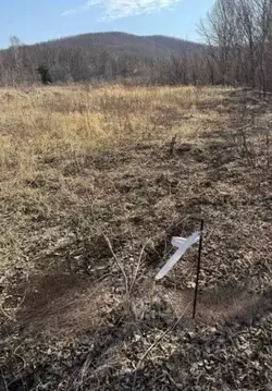 Участок в Приморский край, Шкотовский муниципальный округ, д. Царевка ...