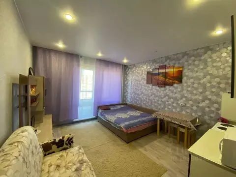 Студия Ленинградская область, Всеволожский район, Заневское городское ...