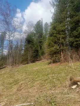 Участок в Алтай, Турочакский район, с. Артыбаш  (10.0 сот.)