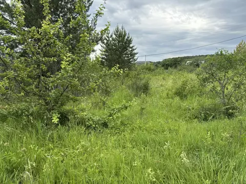 Участок в Татарстан, Лаишевский район, с. Егорьево Дачная ул. (6.4 ...