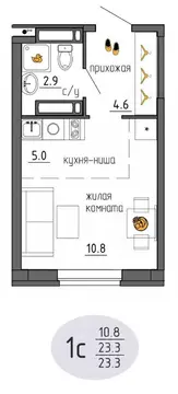 Студия Пермский край, Пермь Ижевская ул., 38 (23.3 м)
