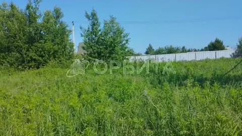 Участок в Тюменская область, Тюменский муниципальный округ, д. ...