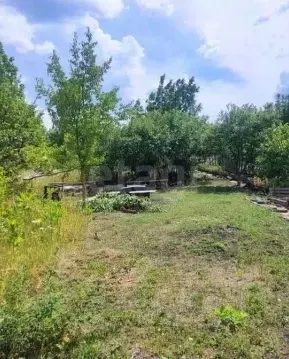 Участок в Ставропольский край, Ставрополь Земляне садовое ...
