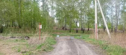 Дом в Кемеровская область, Ленинск-Кузнецкий муниципальный округ, пос. ...