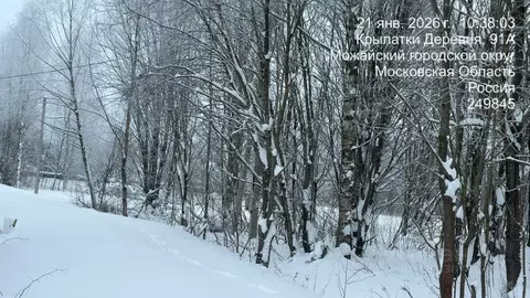 Участок в Московская область, Можайский муниципальный округ, д. ...