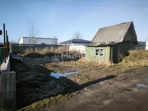 Участок в Калининградская область, Калининград Золотой Петушок ДНТ, ...