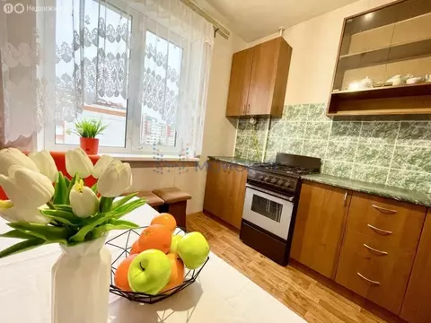 1-комнатная квартира: Чебоксары, улица Мате Залка, 15 (33.1 м)