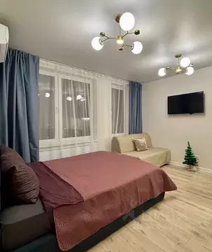 Студия Московская область, Люберцы ул. Солнечная, 6 (30.0 м)