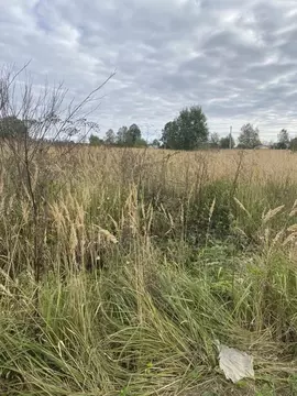 Участок в Московская область, Лотошино муниципальный округ, пос. ...