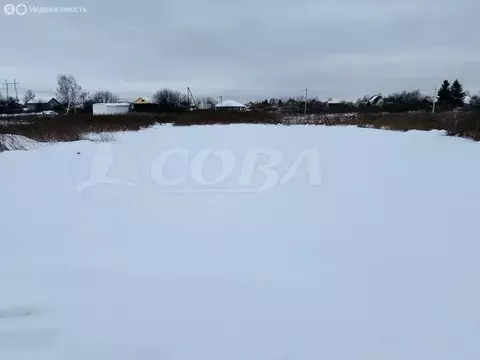 Участок в Тюмень, садовое товарищество Рябинка-2 (8 м)