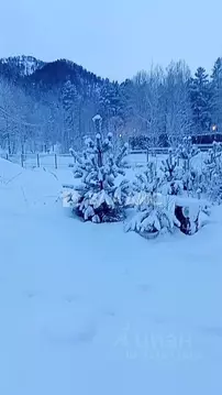 Участок в Алтай, Майминский район, Соузгинское с/пос, Катунь ДНП  ...