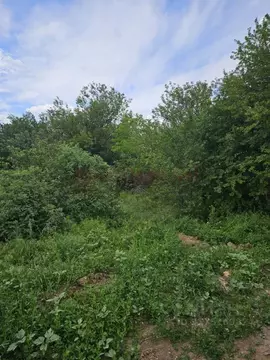 Участок в Ростовская область, Новочеркасск Троицкая ул., 107 (6.0 ...