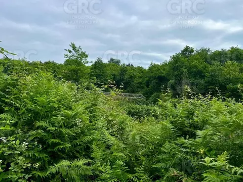 Участок в Краснодарский край, Сочи городской округ, с. Верхнеармянская ...