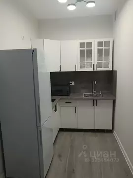 Студия Санкт-Петербург ул. Плесецкая, 24 (33.0 м)