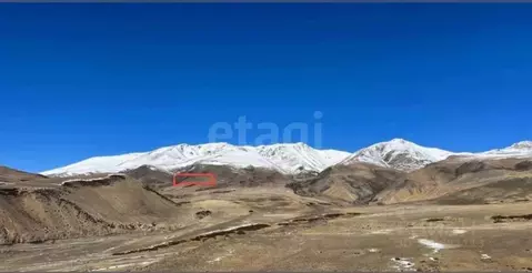 Участок в Алтай, Кош-Агачский район, с. Ортолык  (250.0 сот.)