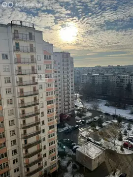 1-комнатная квартира: Ногинск, микрорайон Заречье, улица Белякова, 2к1 ...