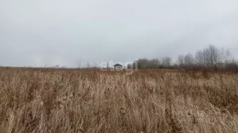 Участок в Хабаровский край, Хабаровский район, Тополевское с/пос, ...