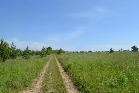 Участок в Тульская область, Заокский район, Малаховское с/пос, д. ...