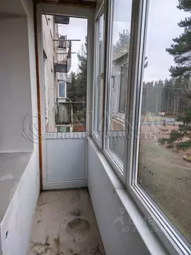 1-к кв. Ленинградская область, Выборгский район, Приморское городское ...