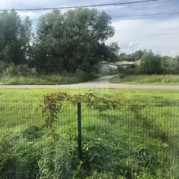 Дом в Брянская область, Брянский район, с. Глинищево ул. Заречная (65 ...