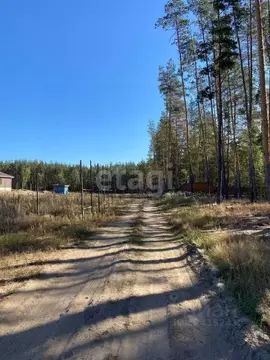 Участок в Воронежская область, Рамонский район, Новоживотинновское ...