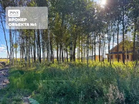 Участок в Санкт-Петербург, Санкт-Петербург, Павловск Березовая ул. ...
