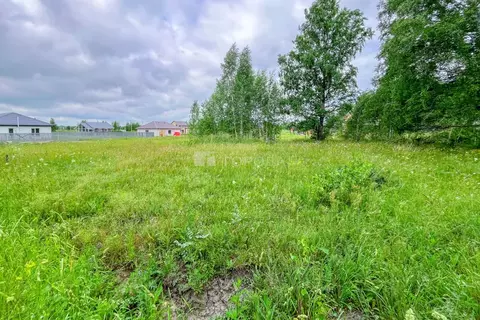 Участок в Новосибирская область, Новосибирский район, Криводановский ...