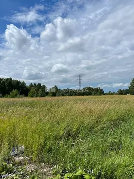 Участок в Новосибирская область, Новосибирский район, Станционный ...