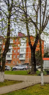 2-к кв. Адыгея, Майкоп Краснооктябрьская ул., 65 (43.6 м)