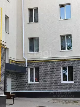 Комната Белгородская область, Белгород просп. Богдана Хмельницкого, ...