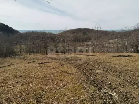 Участок в Краснодарский край, Геленджик городской округ, Бетта СТ  ...