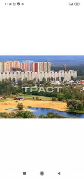 2-комнатная квартира: Воронеж, Сельская улица, 2Ш (48 м)