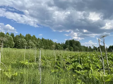 Участок в Московская область, Рузский муниципальный округ, д. Барынино ...