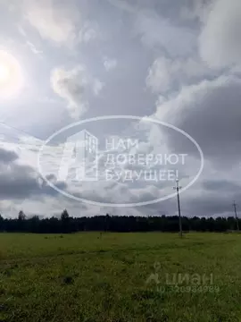 Участок в Пермский край, Кунгурский муниципальный округ, с. Насадка  ...