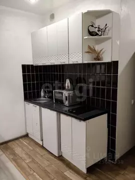 Студия Тверская область, Тверь ул. Склизкова, 116к6 (29.0 м)