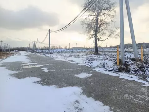 Участок в Новосибирская область, Новосибирский район, Кудряшовский ...