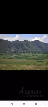 Участок в Алтайский край, Чарышский район, с. Усть-Тулатинка  (400.0 ...