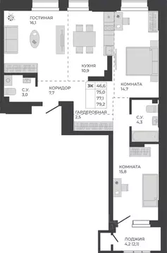 3-к кв. Алтайский край, Барнаул тракт Павловский, 251Б (77.1 м)